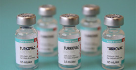 Turkovac aşısıyla ilgili açıklama yapan Avrupa İlaç Ajansı: Türkiye başvurmadı
