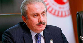 Şentop: Cumhurbaşkanımıza hakarete destek çıkanları kınıyorum