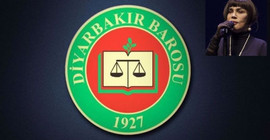 Diyarbakır Barosu’ndan Sezen Aksu'nun hedef alınmasına tepki: İfade özgürlüğüne saygı gösterin