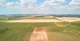 Arsa, tarla ve iş yeri satışları 2021'de tüm zamanların rekorunu kırdı