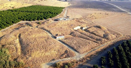 1,5 milyon yıllık insan omuru bulundu: İnsanlık tarihinin bilinmeyenleri ortaya çıktı