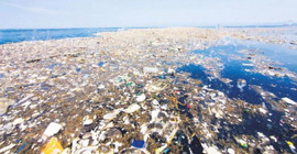 Ekolojik tehlike eşiğini aştı: Denizdeki plastiği yutmayan kalmadı