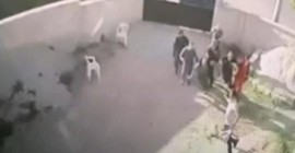 Dedeoğulları'na saldırının tek tanığının ifadesi bir buçuk ay sonra alındı