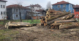 Mimarlar Odası Ankara Şubesi: Doğal varlıklarımızdan elinizi çekin