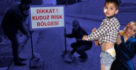 Derik’te 4'ü çocuk 7 kişiyi ısıran köpek kuduz çıktı; mahalle karantinaya alındı