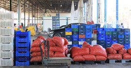 Rusya-Ukrayna savaşı üreticiyi vurdu, ihraç ürünleri elde kaldı