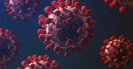 Araştırma: Covid-19 laboratuvardan değil, Wuhan'daki hayvan pazarında ortaya çıktı