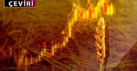 Ukrayna savaşı, Türkiye dahil birçok ülkede gıda kıtlığına yol açabilir