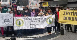Zeytinliklerin madenciliğe açılması protesto edildi: 'Maden ve enerji şirketleri ayrıcalıklı mı?'