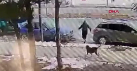 Sivas'ta köpekten kaçan 12 yaşındaki çocuğa otomobil çarptı