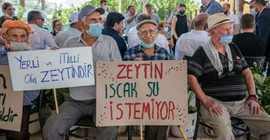 Danıştay'ın kararı zeytinliklerden yana oldu: Toprak kazandı
