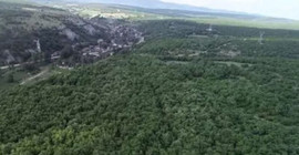Yargı yandaş Limak’a ‘dur’ dedi, binlerce ağaç kesilmekten kurtuldu