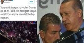'Erdoğan, Trump'ın ahmak rol modeli'