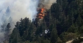 Colorado'da orman yangını nedeniyle 19 bin kişi tahliye edildi