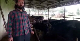 Manda besicisinden Erdoğan'a çağrı: Manda ürünleri lüks haline geldi, insanlar ekmek almayı tercih ediyor
