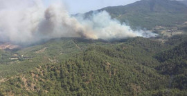 Yanan ormanlık alanda Orman Müdürü’nün de dahil olduğu milyonlarca liralık vurgun yapılmış