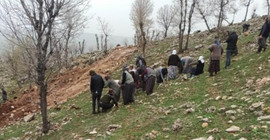 Adıyaman’da kadınların direnişi iş makinelerini durdurdu