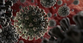 Bilim insanları 5 bin 500 RNA virüsü keşfetti: Bilinen virüslerin sayısı iki katına çıktı