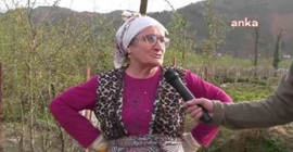 Gübre alamayan çay üreticileri: Çayımız öldü, Rize battı