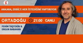 "Türkiye’nin Kürt Siyaseti Kurumsallaştı"