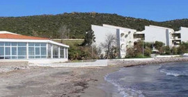 Denize sıfır arazi çocuk istismarıyla hafızalara kazınan Ensar Vakfı'na bedelsiz verildi
