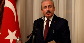 'Troll' tartışmasında 'Cumhur Frankfurt' özür diledi