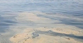 İzmit Körfezi'nde müsilaj görüntülendi