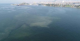 Geri mi dönüyor? Tuzla ve Kadıköy sahillerinde müsilaj benzeri kirlilik görüldü