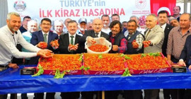 Manisa'da 1 kilo kiraz 700 TL'ye satıldı, vali ve belediye başkanı da törene katıldı