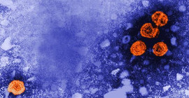 Gizemli hepatit nedeniyle 17 çocuğun karaciğeri iflas etti