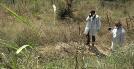 Karakola 300 metre mesafede bir kadın cesedi bulundu