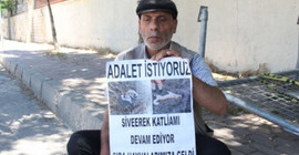 İzol ailesi Urfa Adliyesi önünde: Sadece adalet istiyoruz