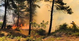 Hatay’daki orman yangınıyla ilgili 1 kişi tutuklandı