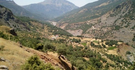 Bitlis'in 7 köy ve mezrasında sokağa çıkma yasağı