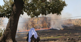 Ekoloji Meclisi: Türkiye'nin her kentine eşit duyarlılık ve ortak mücadele çağrısı