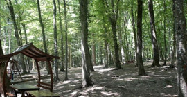 Bolu'da piknik yapmak yasaklandı