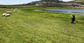 Afyonkarahisar'da mera arazisi maden şirketine verildi