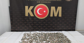 Baskında 2 bin 880 adet sikke ve 68 adet tarihi obje ele geçirildi