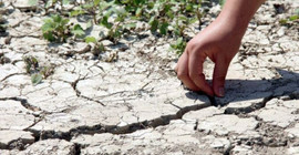 Sesi kısılan çevre STK’ları: Kimse mücadelemize kulak vermiyor