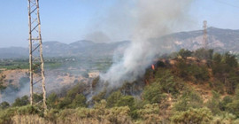 Muğla'da 5 günde 17 orman yangını