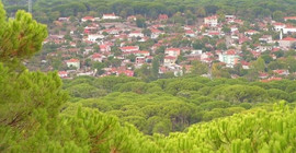 TBMM Çevre Komisyonu üyesinden Kozak Yaylası tepkisi: Bakanlık artık talana göz yummamalı