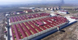 Ayakta sayıma karşı çıkan tutuklu darp edildi: 'Bu işkence son bulsun, yeter artık'