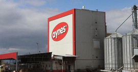 TMSF'ye devredilen Aynes Gıda satışa çıkarıldı