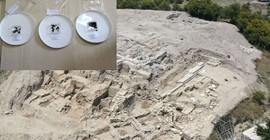 Tarihi Misis Höyüğü'nde 3 bin yıllık tohum bulundu