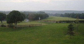 Golf sahalarını imara açtılar, yeni golf sahaları için 1250 ağacı kesilecek