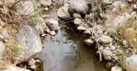 Erzincan'daki siyanür sızıntısıyla ilgili Çevre Bakanlığı ve şirket yöneticileri hakkında suç duyurusu