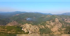 İzmir'in 2 bölgesinde orman yangını çıktı