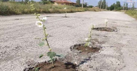 Niğdeli vatandaşlar bozuk yolları çiçek ekti, belediye de çukurları asfalt ile kapattı