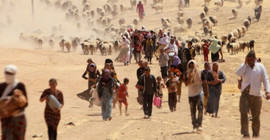 Ezidi Adalet Komitesi raporu: Türkiye, Ezidi Soykırımı'nda IŞİD'e göz yumdu