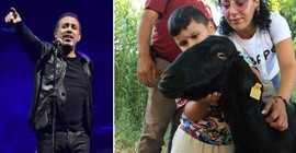 3 gün kaçtı, denizde yüzdü: Kurbanlık keçiyi Haluk Levent satın aldı